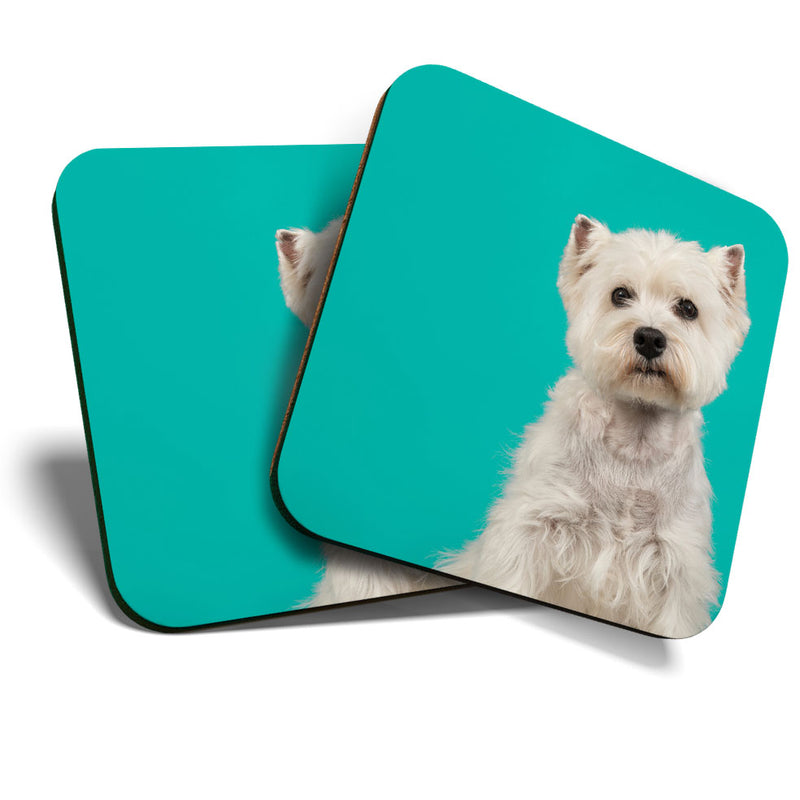 Great Coasters (Set of 2) Square / Glossy Quality Coasters / Tabletop Protection for Any Table Type - Cute West Highland Terrier Dog Westie Puppy
