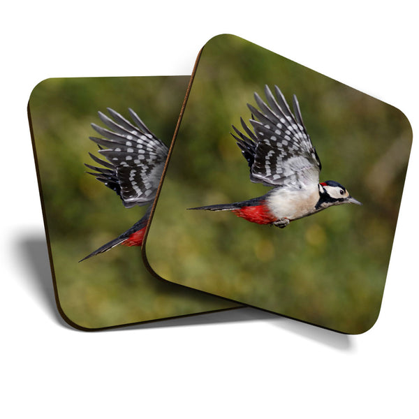 Great Coasters (Set of 2) Square / Glossy Quality Coasters / Tabletop Protection for Any Table Type - Great Spotted Woodpecker  #3325