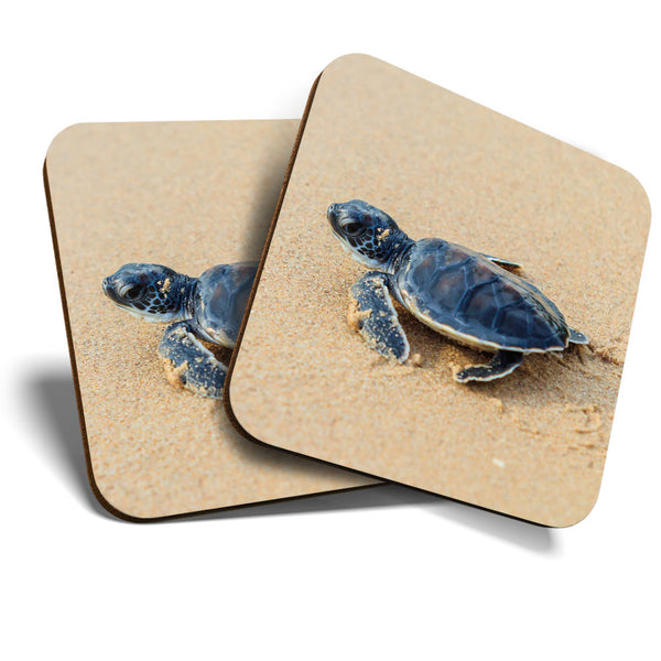 Great Coasters (Set of 2) Square / Glossy Quality Coasters / Tabletop Protection for Any Table Type - Small Baby Green Sea Turtle  #3329