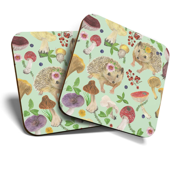 Great Coasters (Set of 2) Square / Glossy Quality Coasters / Tabletop Protection for Any Table Type - Wild Hedgehog Garden Animal  #3345