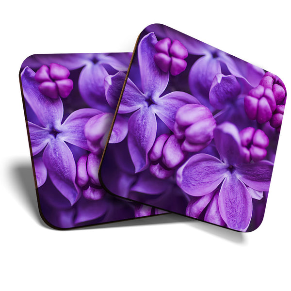 Great Coasters (Set of 2) Square / Glossy Quality Coasters / Tabletop Protection for Any Table Type - Purple Lilac Violet Flowers  #3417