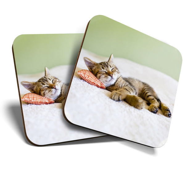 Great Coasters (Set of 2) Square / Glossy Quality Coasters / Tabletop Protection for Any Table Type - Awesome Sleeping Kitten Cat Animals  #8265