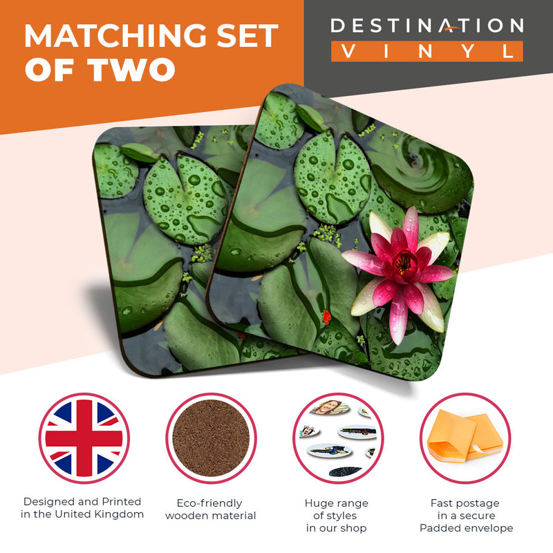 Great Coasters (Set of 2) Square / Glossy Quality Coasters / Tabletop Protection for Any Table Type - Pink Water Lily Flower Pond Zen