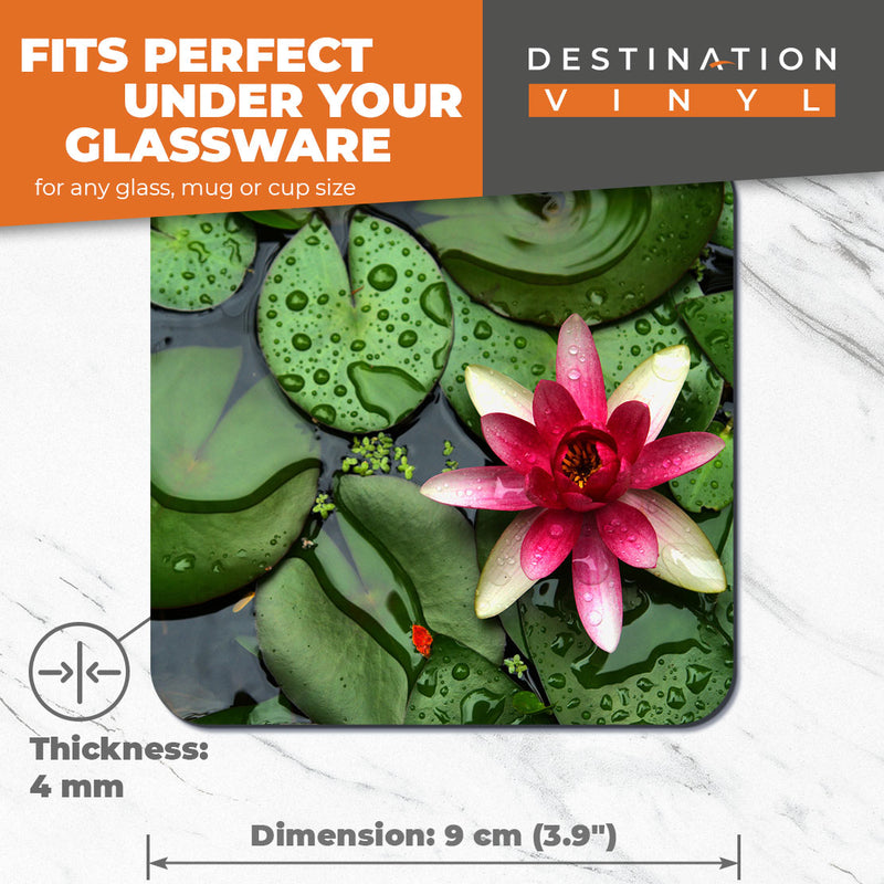Great Coasters (Set of 2) Square / Glossy Quality Coasters / Tabletop Protection for Any Table Type - Pink Water Lily Flower Pond Zen