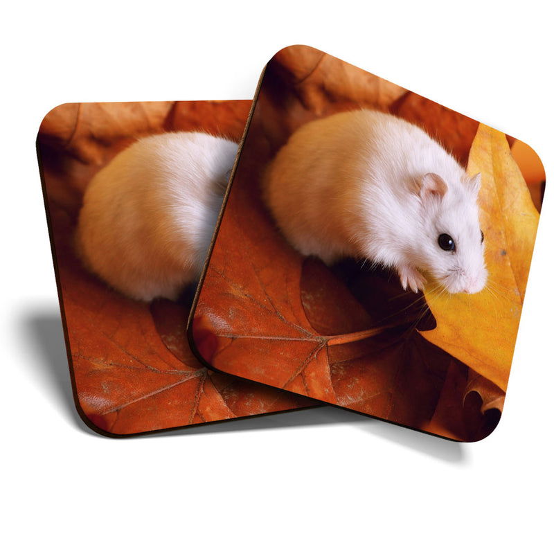 Great Coasters (Set of 2) Square / Glossy Quality Coasters / Tabletop Protection for Any Table Type - Little White Mouse Autumn Leaves