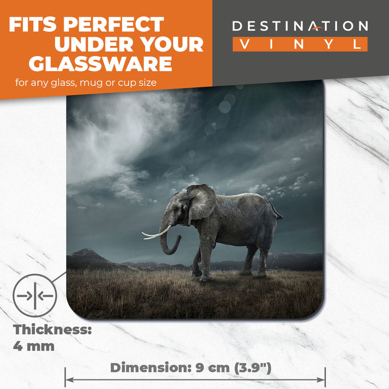 Great Coasters (Set of 2) Square / Glossy Quality Coasters / Tabletop Protection for Any Table Type - Beautiful Elephant in Nature