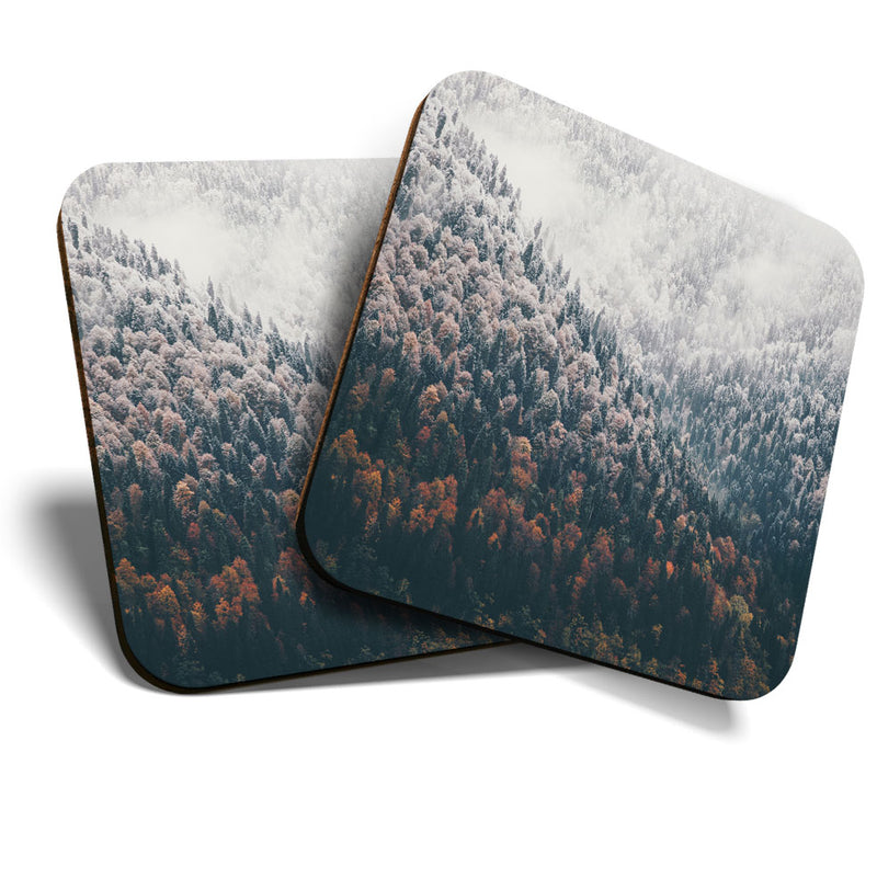 Great Coasters (Set of 2) Square / Glossy Quality Coasters / Tabletop Protection for Any Table Type - Misty Snowy Forest Landscape