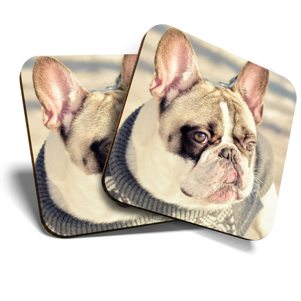 Great Coasters (Set of 2) Square / Glossy Quality Coasters / Tabletop Protection for Any Table Type - French Bulldog Cute Bulldog  #3286