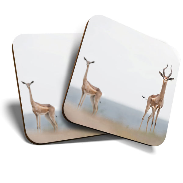 Great Coasters (Set of 2) Square / Glossy Quality Coasters / Tabletop Protection for Any Table Type - Gerenuk Savannah Antelope  #3298