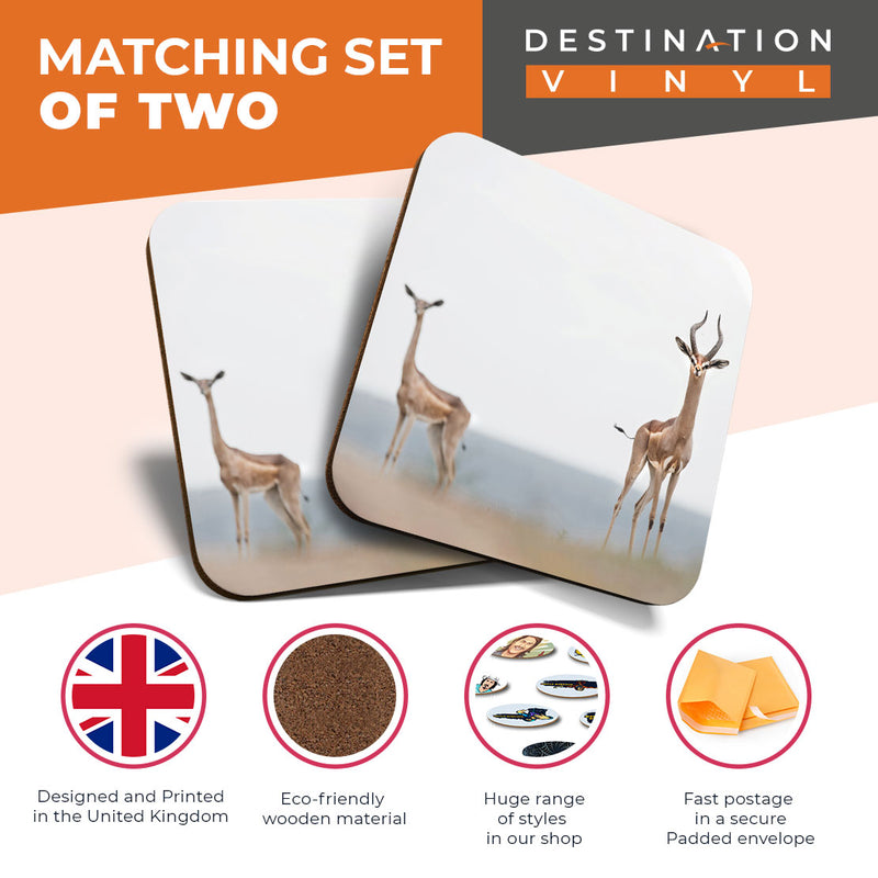 Great Coasters (Set of 2) Square / Glossy Quality Coasters / Tabletop Protection for Any Table Type - Gerenuk Savannah Antelope