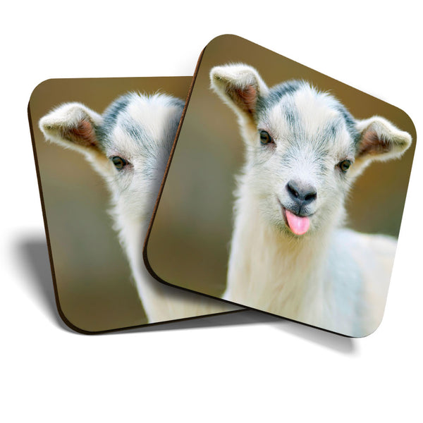 Great Coasters (Set of 2) Square / Glossy Quality Coasters / Tabletop Protection for Any Table Type - Cute White Goat Farm Animal  #3309