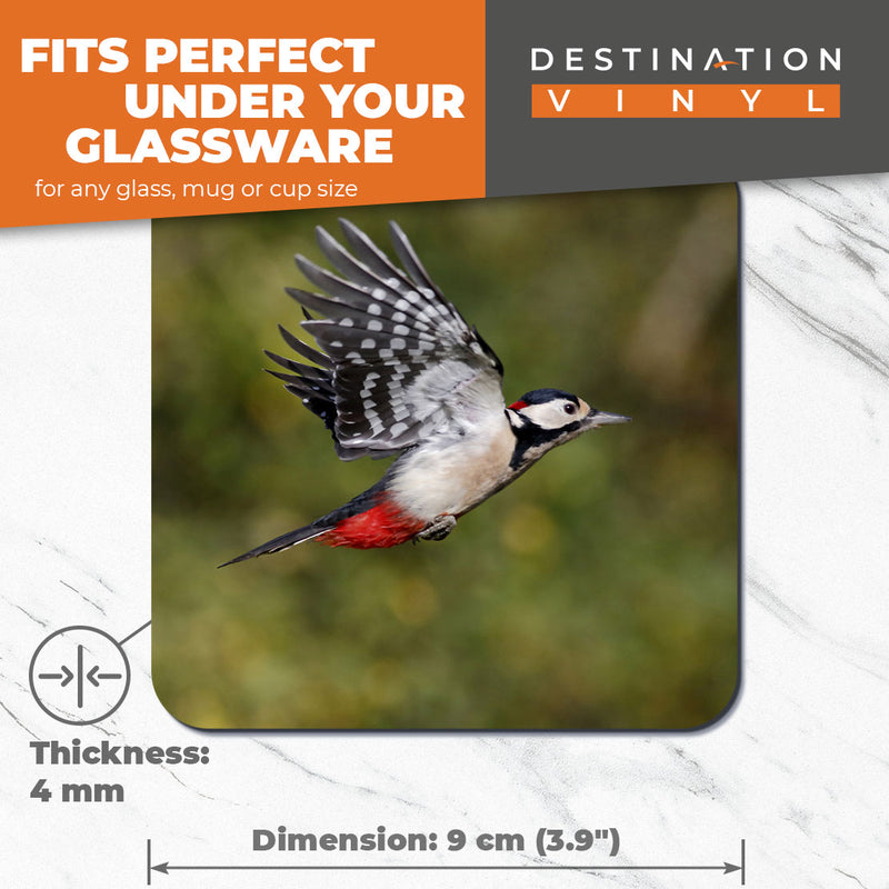 Great Coasters (Set of 2) Square / Glossy Quality Coasters / Tabletop Protection for Any Table Type - Great Spotted Woodpecker