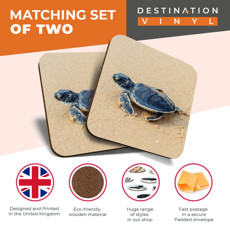 Great Coasters (Set of 2) Square / Glossy Quality Coasters / Tabletop Protection for Any Table Type - Small Baby Green Sea Turtle