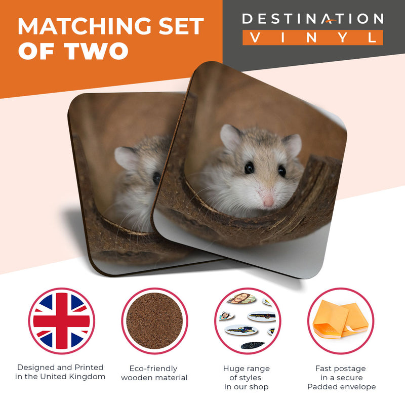 Great Coasters (Set of 2) Square / Glossy Quality Coasters / Tabletop Protection for Any Table Type - Cute Little Hamster Gerbil