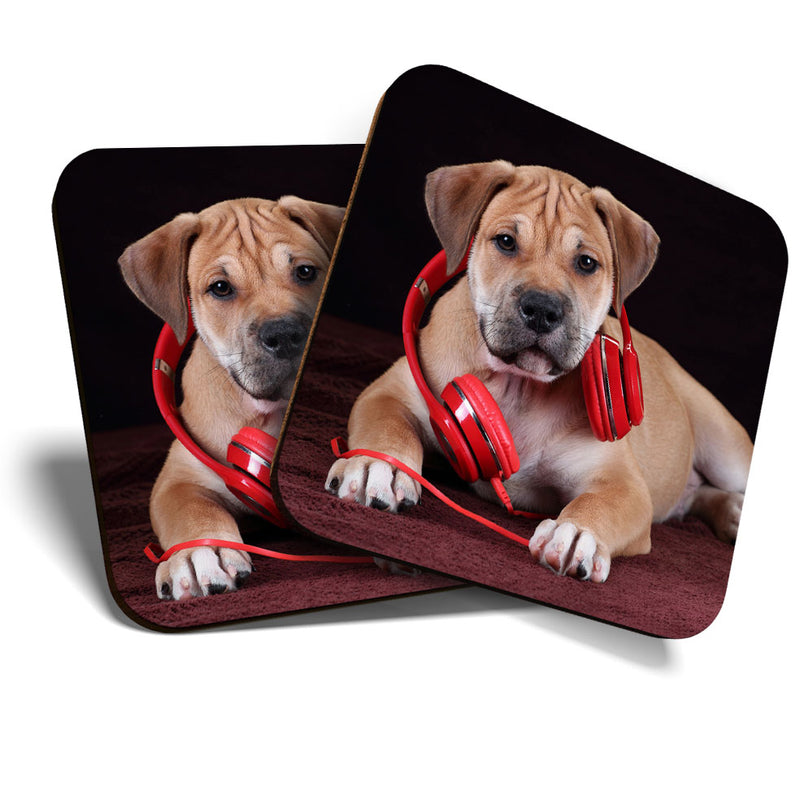Great Coasters (Set of 2) Square / Glossy Quality Coasters / Tabletop Protection for Any Table Type - Cute Headphone Puppy Dog