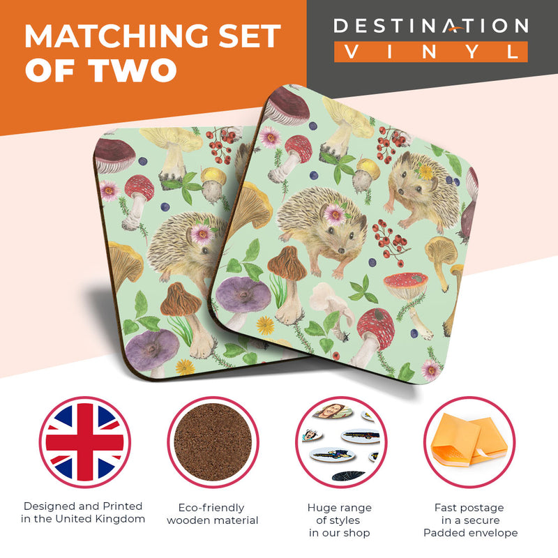 Great Coasters (Set of 2) Square / Glossy Quality Coasters / Tabletop Protection for Any Table Type - Wild Hedgehog Garden Animal
