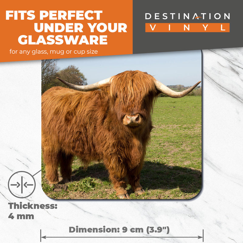 Great Coasters (Set of 2) Square / Glossy Quality Coasters / Tabletop Protection for Any Table Type - Hairy Brown Highland Cow