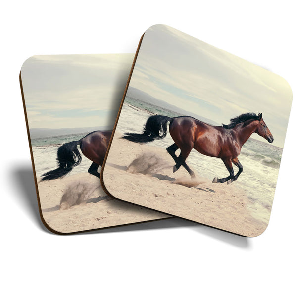 Great Coasters (Set of 2) Square / Glossy Quality Coasters / Tabletop Protection for Any Table Type - Pretty Brown Horse on Beach  #3357