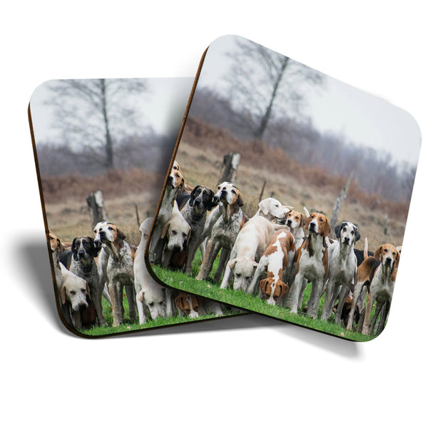 Great Coasters (Set of 2) Square / Glossy Quality Coasters / Tabletop Protection for Any Table Type - Pack of Hunting Hounds Dog  #3362