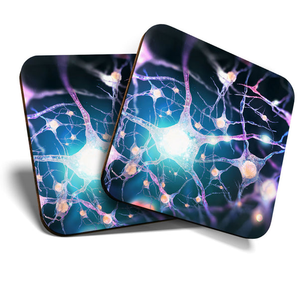 Great Coasters (Set of 2) Square / Glossy Quality Coasters / Tabletop Protection for Any Table Type - Human Nervous System Biology  #3366