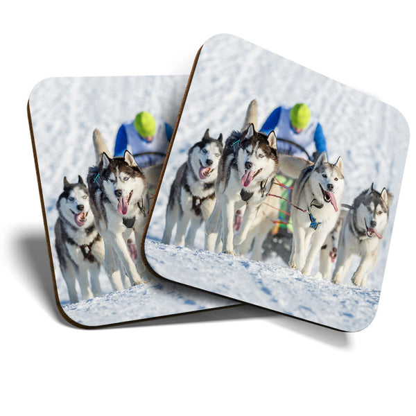 Great Coasters (Set of 2) Square / Glossy Quality Coasters / Tabletop Protection for Any Table Type - Husky Dogs & Sleigh Dog Pack  #3369