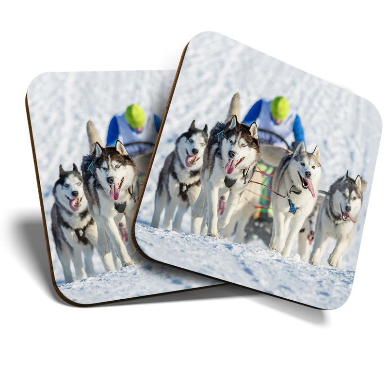 Great Coasters (Set of 2) Square / Glossy Quality Coasters / Tabletop Protection for Any Table Type - Husky Dogs & Sleigh Dog Pack