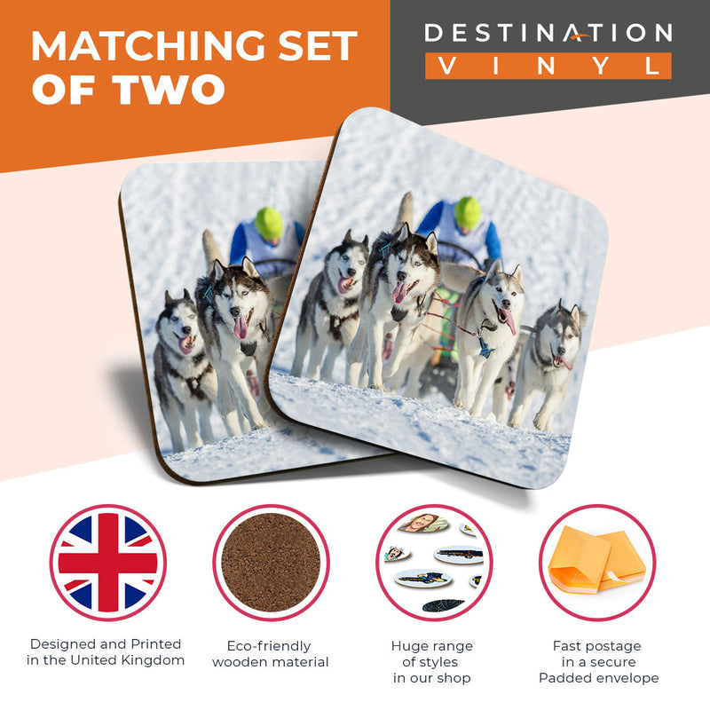 Great Coasters (Set of 2) Square / Glossy Quality Coasters / Tabletop Protection for Any Table Type - Husky Dogs & Sleigh Dog Pack