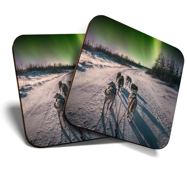 Great Coasters (Set of 2) Square / Glossy Quality Coasters / Tabletop Protection for Any Table Type - Husky Dogs Aurora Borealis  #3370