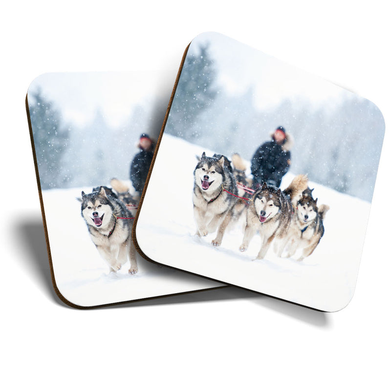 Great Coasters (Set of 2) Square / Glossy Quality Coasters / Tabletop Protection for Any Table Type - Husky Sled Dogs Dog Austria
