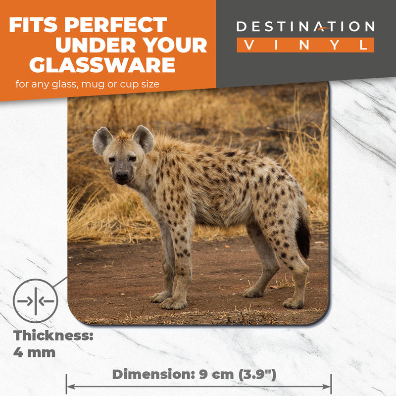 Great Coasters (Set of 2) Square / Glossy Quality Coasters / Tabletop Protection for Any Table Type - Hyena Savannah Wild Animals