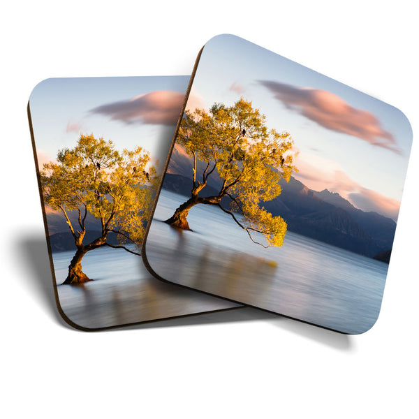 Great Coasters (Set of 2) Square / Glossy Quality Coasters / Tabletop Protection for Any Table Type - Cute Lake Wanaka New Zealand  #3412