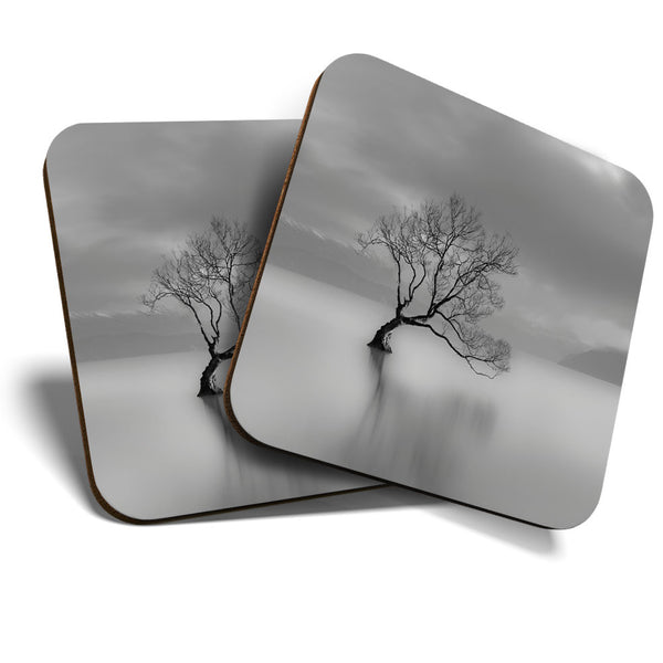 Great Coasters (Set of 2) Square / Glossy Quality Coasters / Tabletop Protection for Any Table Type - Cool Lake Wanaka New Zealand  #3425