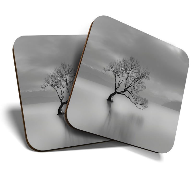 Great Coasters (Set of 2) Square / Glossy Quality Coasters / Tabletop Protection for Any Table Type - Cool Lake Wanaka New Zealand