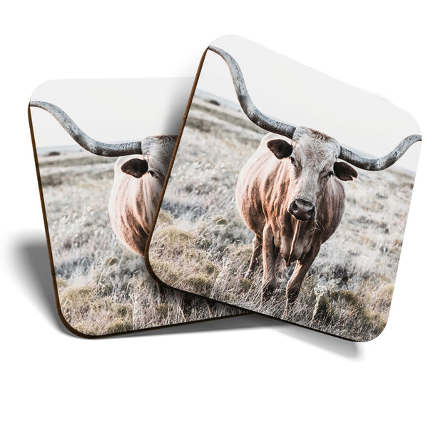 Great Coasters (Set of 2) Square / Glossy Quality Coasters / Tabletop Protection for Any Table Type - Texas Longhorn Cow Cattle  #3428