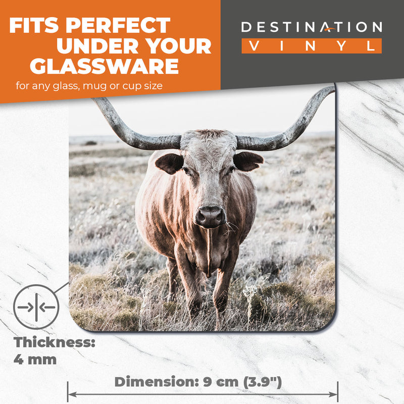 Great Coasters (Set of 2) Square / Glossy Quality Coasters / Tabletop Protection for Any Table Type - Texas Longhorn Cow Cattle