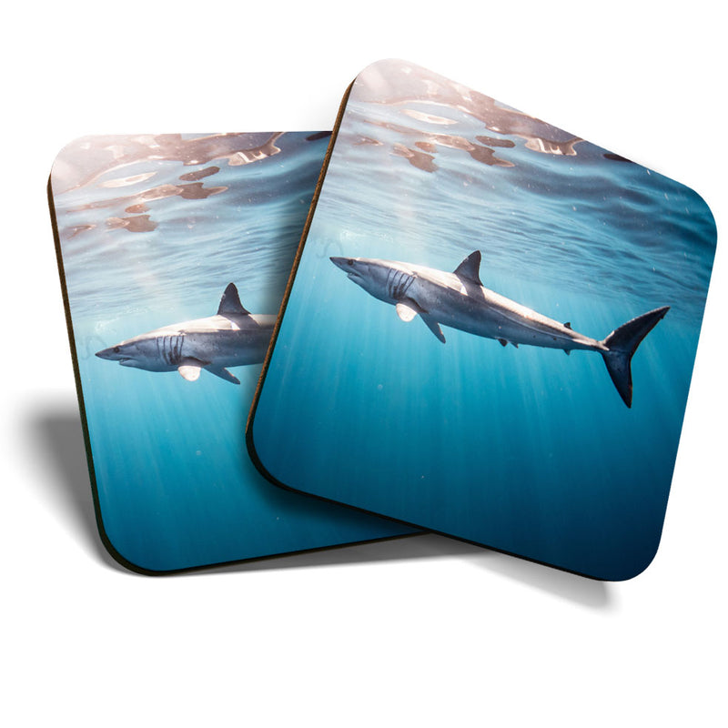 Great Coasters (Set of 2) Square / Glossy Quality Coasters / Tabletop Protection for Any Table Type - Shark Underwater Mexico Sharks