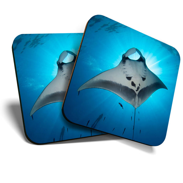 Great Coasters (Set of 2) Square / Glossy Quality Coasters / Tabletop Protection for Any Table Type - Majestic Manta Ray Sea Life  #3453