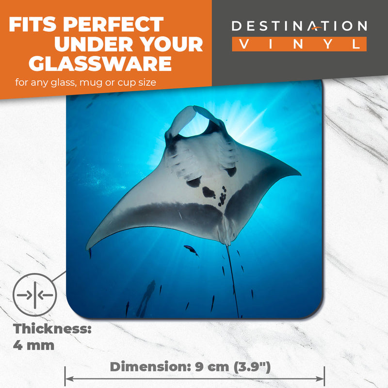 Great Coasters (Set of 2) Square / Glossy Quality Coasters / Tabletop Protection for Any Table Type - Majestic Manta Ray Sea Life