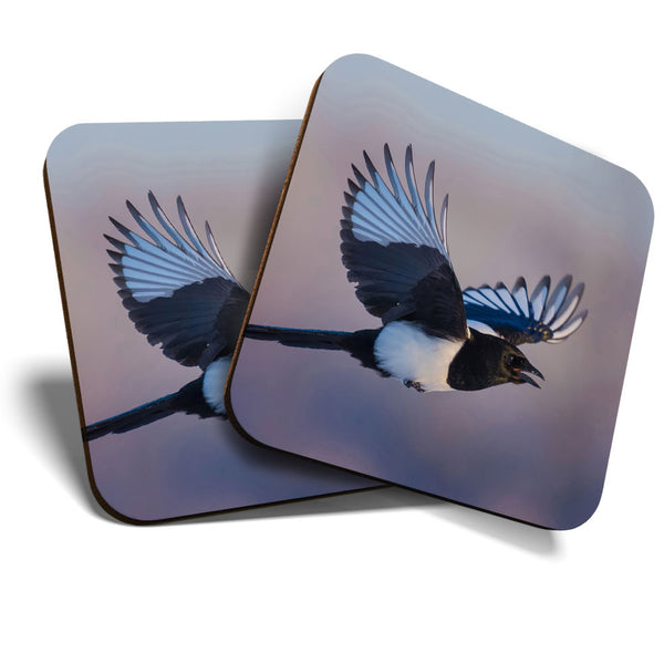 Great Coasters (Set of 2) Square / Glossy Quality Coasters / Tabletop Protection for Any Table Type - Flying Eurasian Magpie Bird  #3454