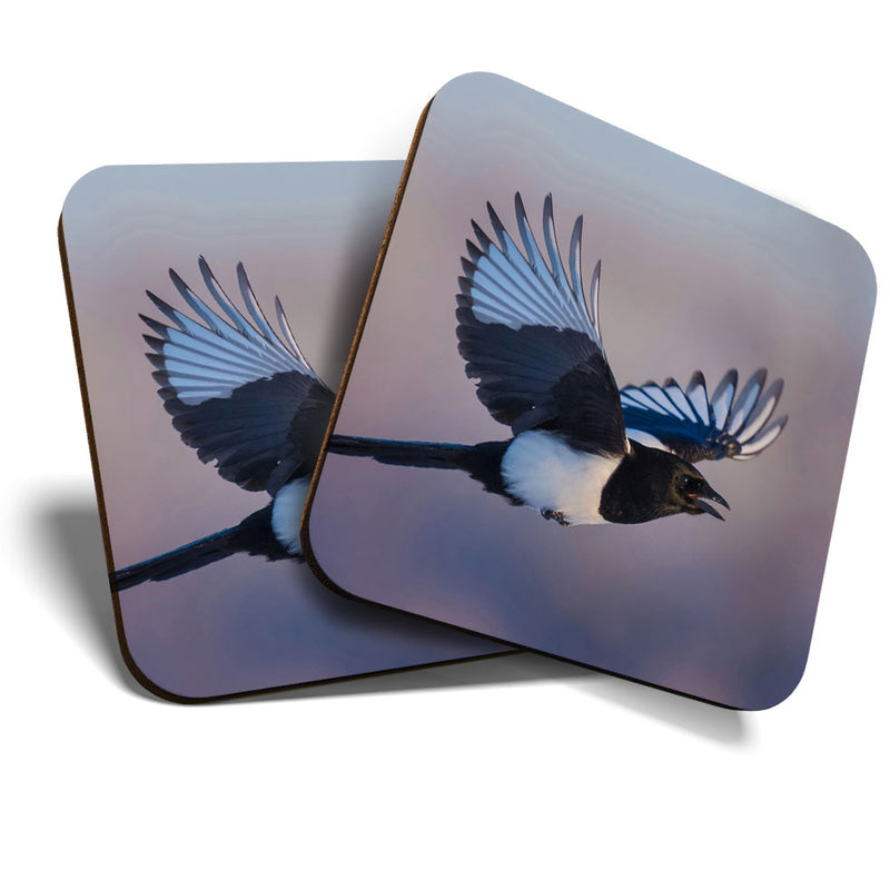 Great Coasters (Set of 2) Square / Glossy Quality Coasters / Tabletop Protection for Any Table Type - Flying Eurasian Magpie Bird