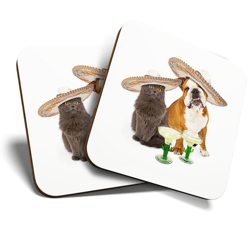 Great Coasters (Set of 2) Square / Glossy Quality Coasters / Tabletop Protection for Any Table Type - Fun Mexican Dog & Cat Drinks