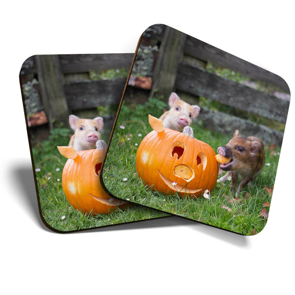 Great Coasters (Set of 2) Square / Glossy Quality Coasters / Tabletop Protection for Any Table Type - Micro Pig Pumpkin Halloween  #3467