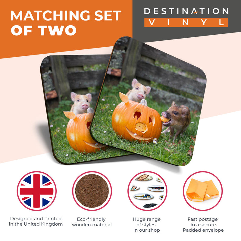 Great Coasters (Set of 2) Square / Glossy Quality Coasters / Tabletop Protection for Any Table Type - Micro Pig Pumpkin Halloween