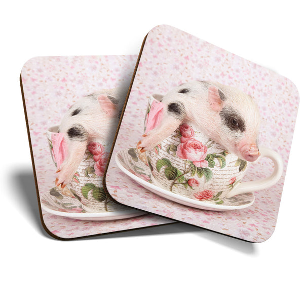Great Coasters (Set of 2) Square / Glossy Quality Coasters / Tabletop Protection for Any Table Type - Cute Pink Micro Pig Teacup  #3468