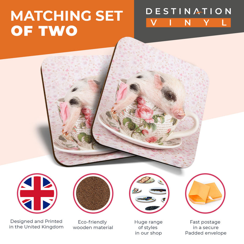 Great Coasters (Set of 2) Square / Glossy Quality Coasters / Tabletop Protection for Any Table Type - Cute Pink Micro Pig Teacup