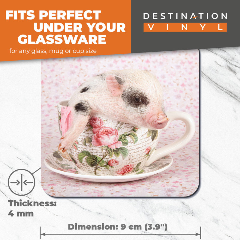 Great Coasters (Set of 2) Square / Glossy Quality Coasters / Tabletop Protection for Any Table Type - Cute Pink Micro Pig Teacup