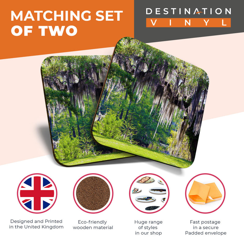 Great Coasters (Set of 2) Square / Glossy Quality Coasters / Tabletop Protection for Any Table Type - Mossy Oak Tree Nature Trees