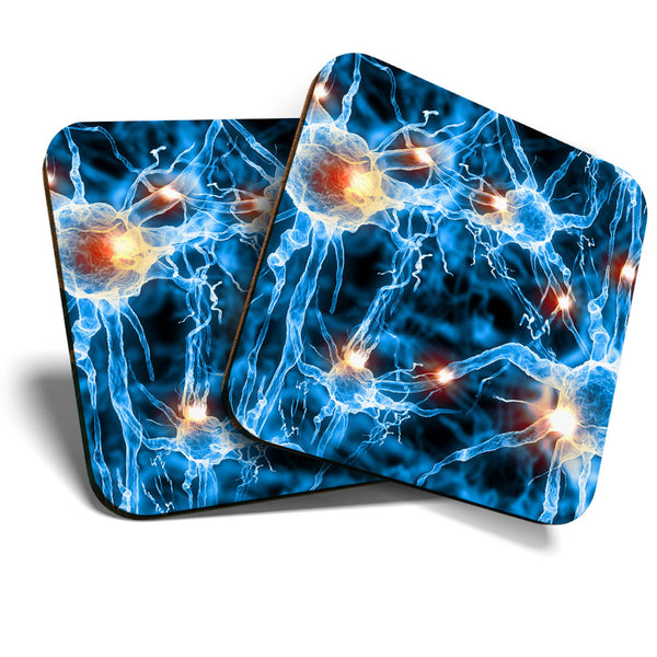 Great Coasters (Set of 2) Square / Glossy Quality Coasters / Tabletop Protection for Any Table Type - Nerve Cell Biology Science  #3509