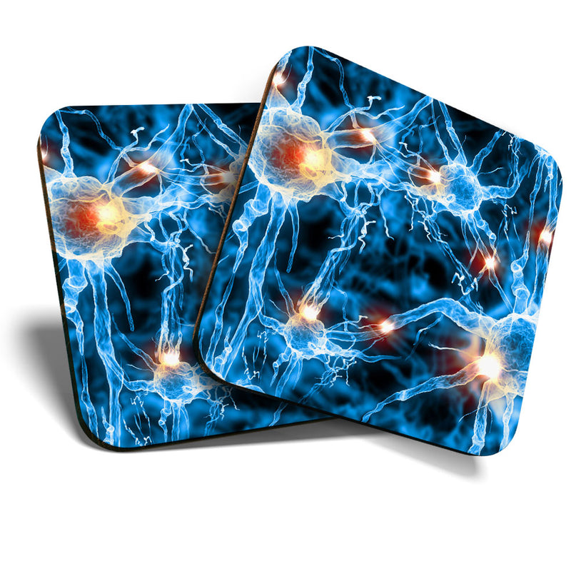 Great Coasters (Set of 2) Square / Glossy Quality Coasters / Tabletop Protection for Any Table Type - Nerve Cell Biology Science