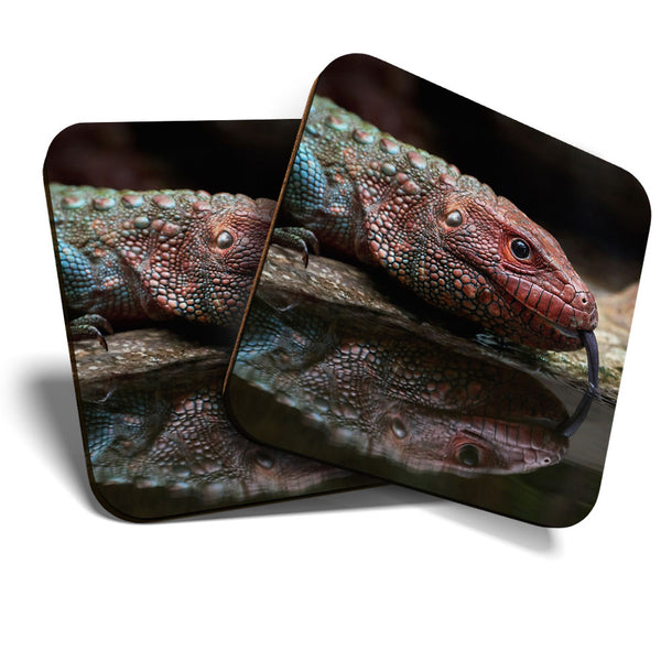 Great Coasters (Set of 2) Square / Glossy Quality Coasters / Tabletop Protection for Any Table Type - Red Northern Caiman Lizard  #3520